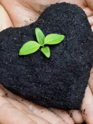 Formación de Metaconsciencia para la Autosanación
